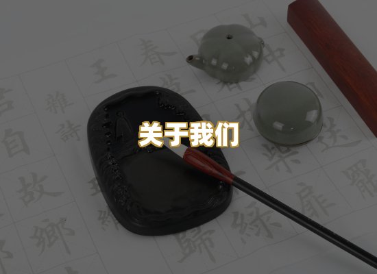关于我们