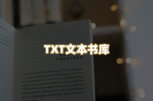 TXT文本书库